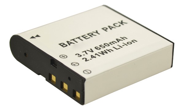 Internal Battery CASIO NP-40
