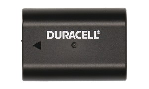 DMW-BLF19E Battery (2 Cells)