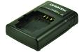 Lumix DMC-GH2HK Charger