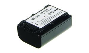 HandyCam HDR-CX570E Battery (2 Cells)