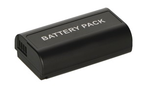 Lumix DC-S1 Battery (2 Cells)