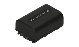HandyCam NEX-VG900 Battery (2 Cells)