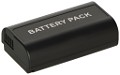 DMW-BLJ31 Battery (2 Cells)